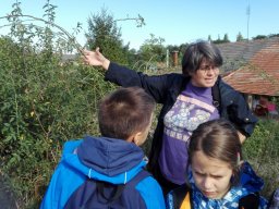 Erdei kiránduláson a 2.b osztály