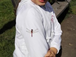 Erdei kiránduláson a 2.b osztály