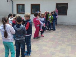 Madarak és fák napja 2016.