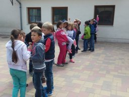 Madarak és fák napja 2016.