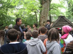 Madarak és fák napja 2016.