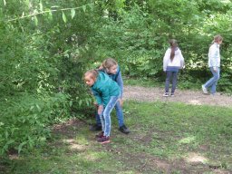 Madarak és fák napja 2016.