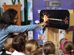 Csak egészségesen!