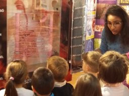 Csak egészségesen!