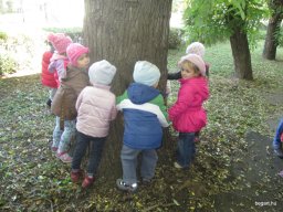 Őszi hétköznapok a Zengőerdő csoportban