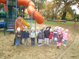 Őszi hétköznapok a Zengőerdő csoportban