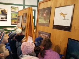 Természetfotó kiállításon