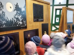 Természetfotó kiállításon