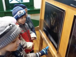 Természetfotó kiállításon