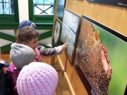 Természetfotó kiállításon