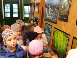 Természetfotó kiállításon