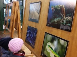 Természetfotó kiállításon