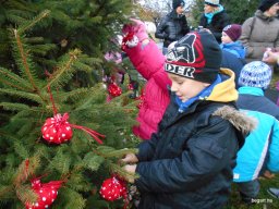 KARÁCSONYFA DÍSZÍTŐ VERSENY