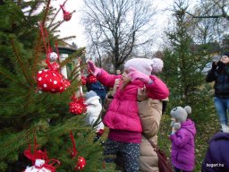 KARÁCSONYFA DÍSZÍTŐ VERSENY