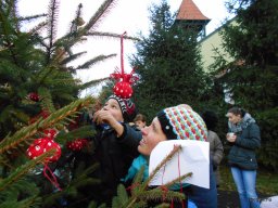 KARÁCSONYFA DÍSZÍTŐ VERSENY