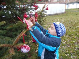 KARÁCSONYFA DÍSZÍTŐ VERSENY