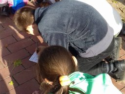 Régészeti ásatáson