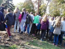 Régészeti ásatáson