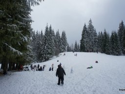 Biharfüredi szánkótúra a BEG Barangolókkal