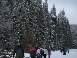 Biharfüredi szánkótúra a BEG Barangolókkal