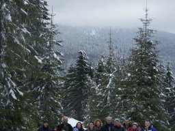 Biharfüredi szánkótúra a BEG Barangolókkal
