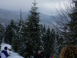 Biharfüredi szánkótúra a BEG Barangolókkal