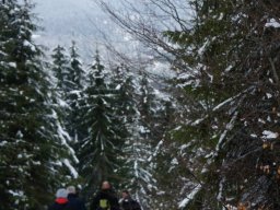 Biharfüredi szánkótúra a BEG Barangolókkal