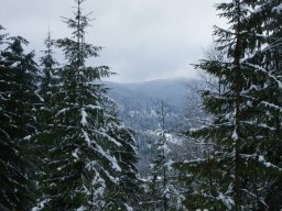 Biharfüredi szánkótúra a BEG Barangolókkal
