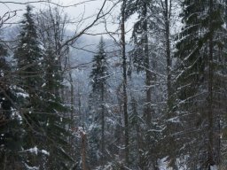 Biharfüredi szánkótúra a BEG Barangolókkal