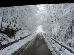 Biharfüredi szánkótúra a BEG Barangolókkal