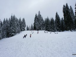 Biharfüredi szánkótúra a BEG Barangolókkal