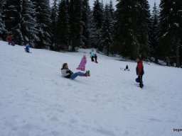 Biharfüredi szánkótúra a BEG Barangolókkal