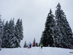Biharfüredi szánkótúra a BEG Barangolókkal