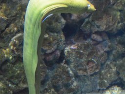 A Nyíregyházi Vadasparkban járt az 1.b osztály