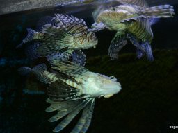 A Nyíregyházi Vadasparkban járt az 1.b osztály