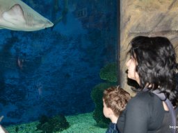 A Nyíregyházi Vadasparkban járt az 1.b osztály