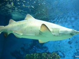 A Nyíregyházi Vadasparkban járt az 1.b osztály