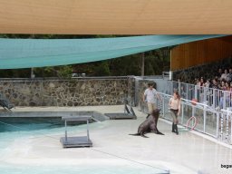 A Nyíregyházi Vadasparkban járt az 1.b osztály