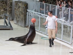 A Nyíregyházi Vadasparkban járt az 1.b osztály