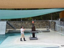 A Nyíregyházi Vadasparkban járt az 1.b osztály