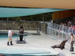 A Nyíregyházi Vadasparkban járt az 1.b osztály