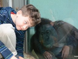 A Nyíregyházi Vadasparkban járt az 1.b osztály