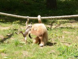 A Nyíregyházi Vadasparkban járt az 1.b osztály