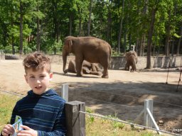 A Nyíregyházi Vadasparkban járt az 1.b osztály