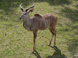 A Nyíregyházi Vadasparkban járt az 1.b osztály