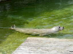 A Nyíregyházi Vadasparkban járt az 1.b osztály