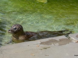 A Nyíregyházi Vadasparkban járt az 1.b osztály