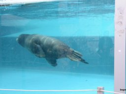 A Nyíregyházi Vadasparkban járt az 1.b osztály