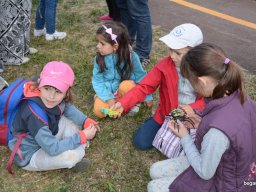 A Nyíregyházi Vadasparkban járt az 1.b osztály
