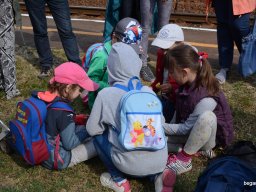 A Nyíregyházi Vadasparkban járt az 1.b osztály